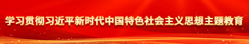中文又粗又硬又大的阴茎插入阴通的视频学习贯彻习近平新时代中国特色社会主义思想主题教育